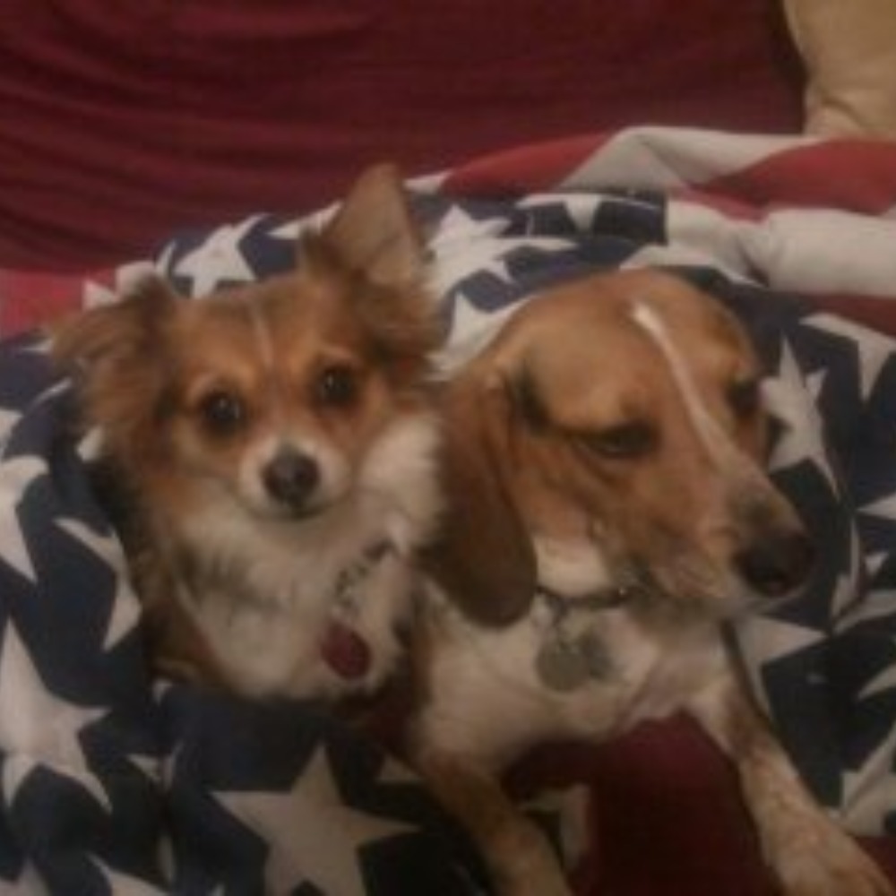 Meet your Posher, Mary